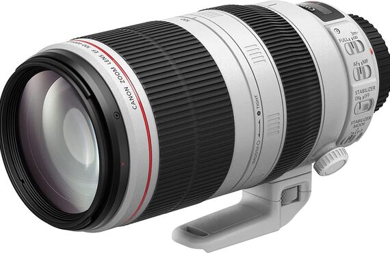 鳥取のおすすめ Canon キャノン EF100-400mm 高い買取価格 売るなら百獣のカメラ買取王 カメライオンが高価買い取り
