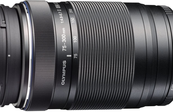 長野おすすめ OLYMPUS オリンパス M.ZUIKO DIGITAL ED 75-300mm 高い買取価格 売るなら買取王カメライオンが高価買取