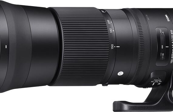 静岡のおすすめ SIGMA シグマ 150-600mm 高い買取価格 売るなら百獣のカメラ買取王 カメライオンが高価買い取り
