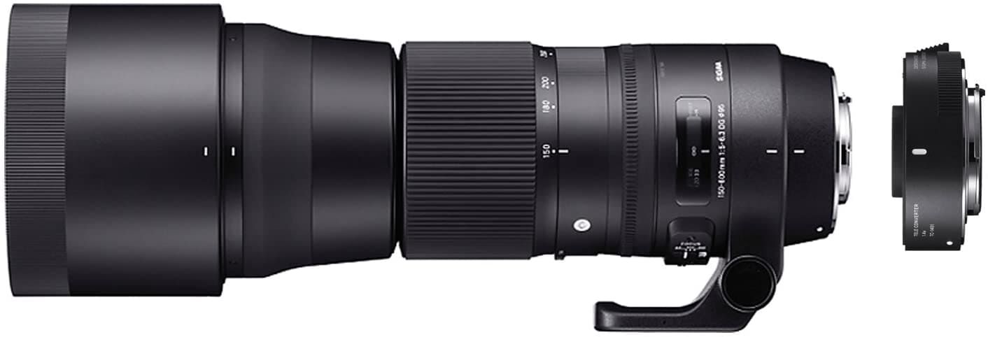 SIGMA シグマ 超望遠ズームレンズ Contemporary 150-600mm F5-6.3 DG OS HSM テレコンバーターキット キヤノン用 フルサイズ対応