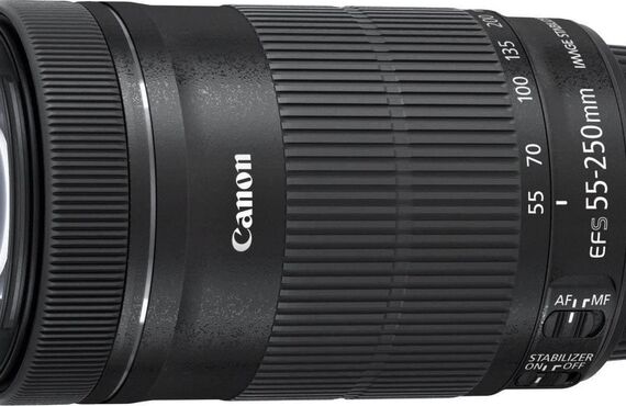 長野のおすすめ Canon キャノン EF-S55-250mm 高い買取価格 売るなら百獣のカメラ買取王 カメライオンが高価買い取り
