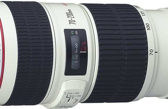 長野のおすすめ Canon キャノン EF70-200mm 高い買取価格 売るなら百獣のカメラ買取王 カメライオンが高価買い取り