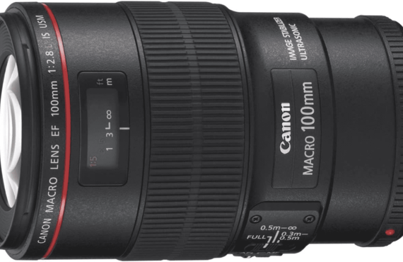 大分のおすすめ Canon キャノン EF100mm 高い買取価格 売るなら百獣のカメラ買取王 カメライオンが高価買い取り