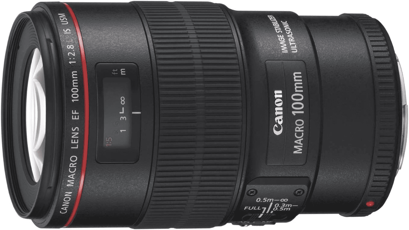 Canon キャノン 単焦点マクロレンズ EF100mm F2.8L マクロ IS USM フルサイズ対応