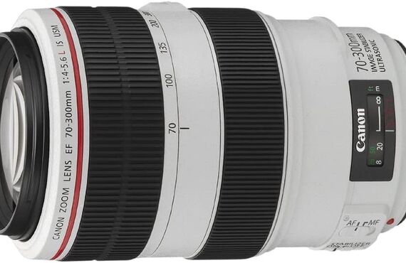 滋賀のおすすめ Canon キャノン EF70-300mm 高い買取価格 売るなら百獣のカメラ買取王 カメライオンが高価買い取り