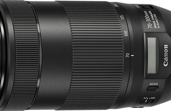 豊中のおすすめ Canon キャノン EF70-300mm 高い買取価格 売るなら百獣のカメラ買取王 カメライオンが高価買い取り