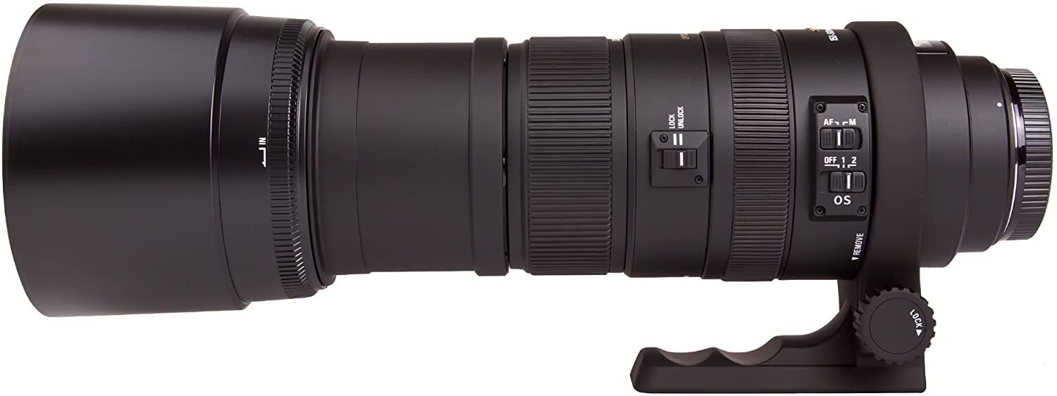 SIGMA シグマ 超望遠ズームレンズ APO 150-500mm F5-6.3 DG OS HSM キヤノン用 フルサイズ対応 737542