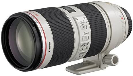 Canon キャノン 望遠ズームレンズ EF70-200mm F2.8L IS II USM フルサイズ対応
