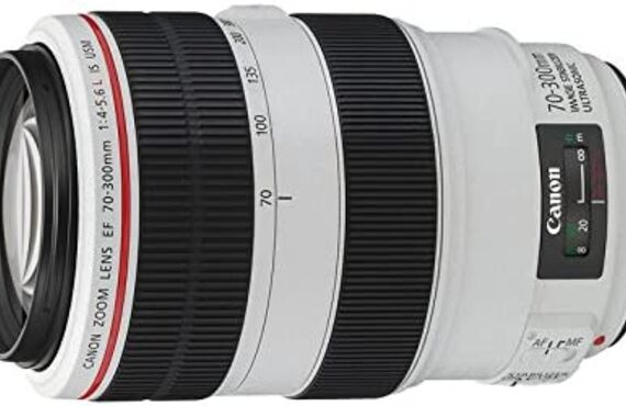 三田おすすめ Canon キャノン EF70-300mm F4-5.6L IS USMの高い買取価格 売るなら百獣のカメラ買取王が高価買い取り