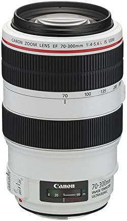 Canon キャノン 望遠ズームレンズ EF70-300mm F4-5.6L IS USM