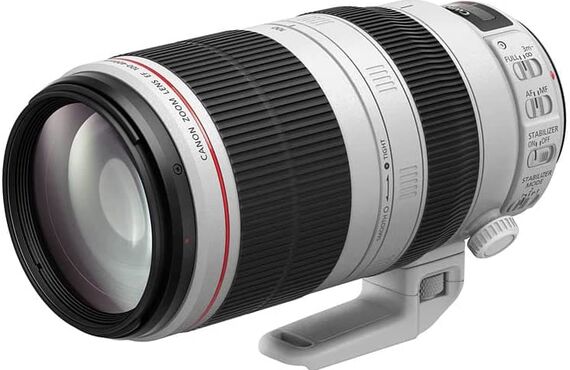 奈良のおすすめ Canon キャノン EF100-400mm 高い買取価格 売るなら百獣のカメラ買取王 カメライオンが高価買い取り