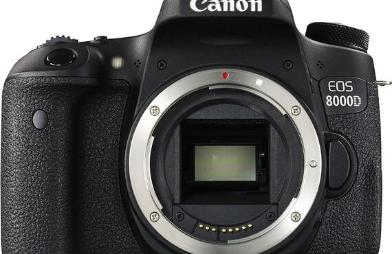 奈良のおすすめ Canon キャノン EOS 8000D ボディ 高い買取価格 売るなら百獣のカメラ買取王 カメライオンが高価買取