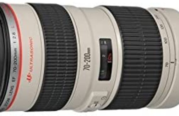 西脇のおすすめ Canon キヤノン EF70-200mm F2.8L USM の高い買取価格 売るなら百獣の買取王が高価買い取り 