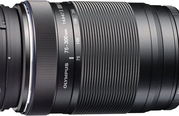 福島おすすめ OLYMPUS オリンパス M.ZUIKO DIGITAL ED 75-300mm F4.8-6.7 II の買取価格 百獣の買取王が高価買い取り 