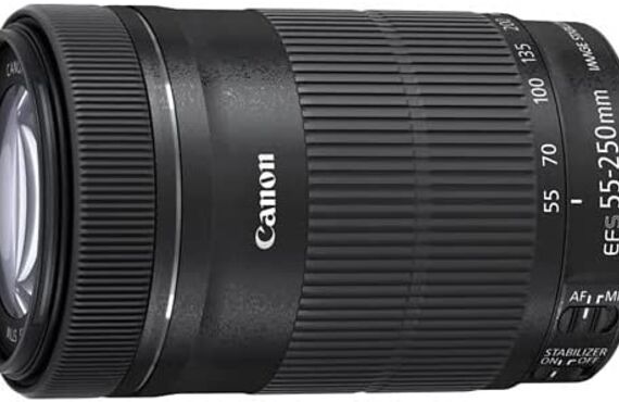 福島のおすすめ Canon キヤノン EF-S55-250mm F4-5.6 IS STM の高い買取価格 売るなら百獣の買取王が高価買い取り 