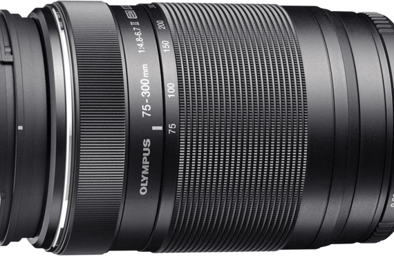 奈良のおすすめ OLYMPUS オリンパス ZUIKO DIGITAL ED 75-300mm 高い買取価格 売るなら買取王 カメライオンが高価買取