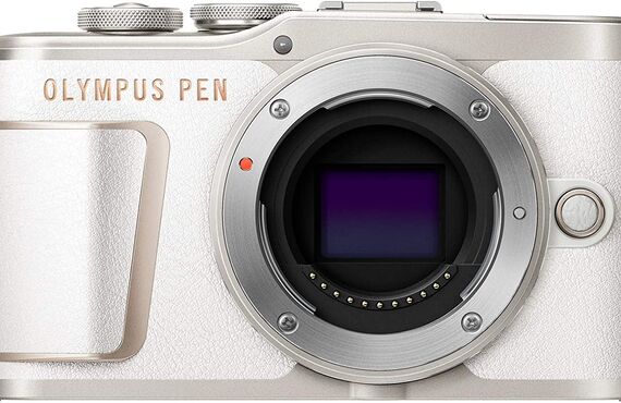 前橋のおすすめ OLYMPUS オリンパス PEN E-PL10 ボディー の高い買取価格 売るなら百獣の買取王が高価買い取り 