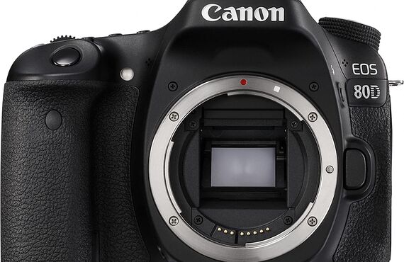 富山のおすすめ Canon キヤノン EOS 80D ボディ の高い買取価格 売るなら百獣の買取王が高価買い取り 