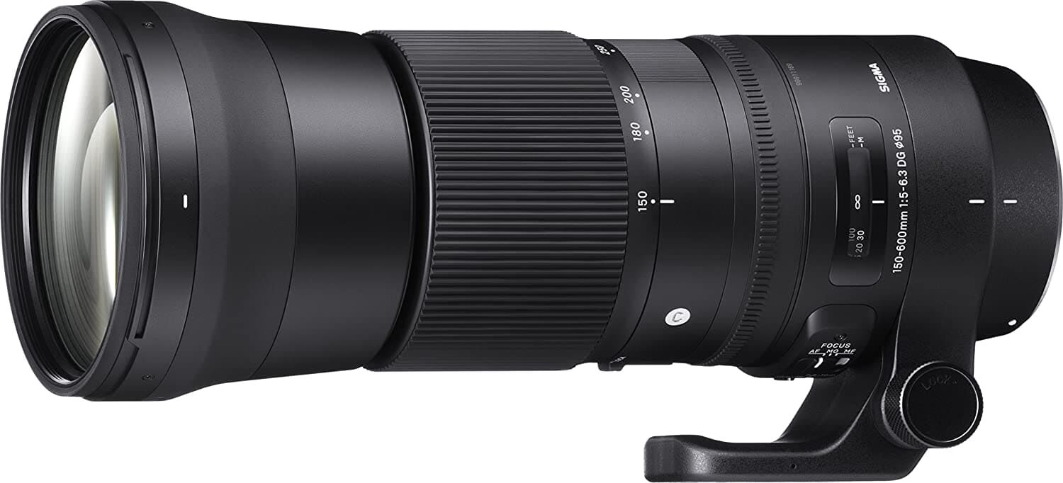 SIGMA シグマ 150-600mm F5-6.3 DG OS HSM | Contemporary C015 | Canon EFマウント | Full-Size/Large-Format 745547