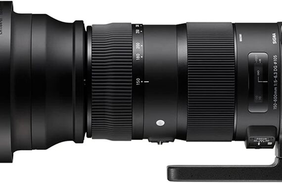 奈良のおすすめ SIGMA シグマ 150-600mm 高い買取価格 売るなら百獣のカメラ買取王 カメライオンが高価買い取り