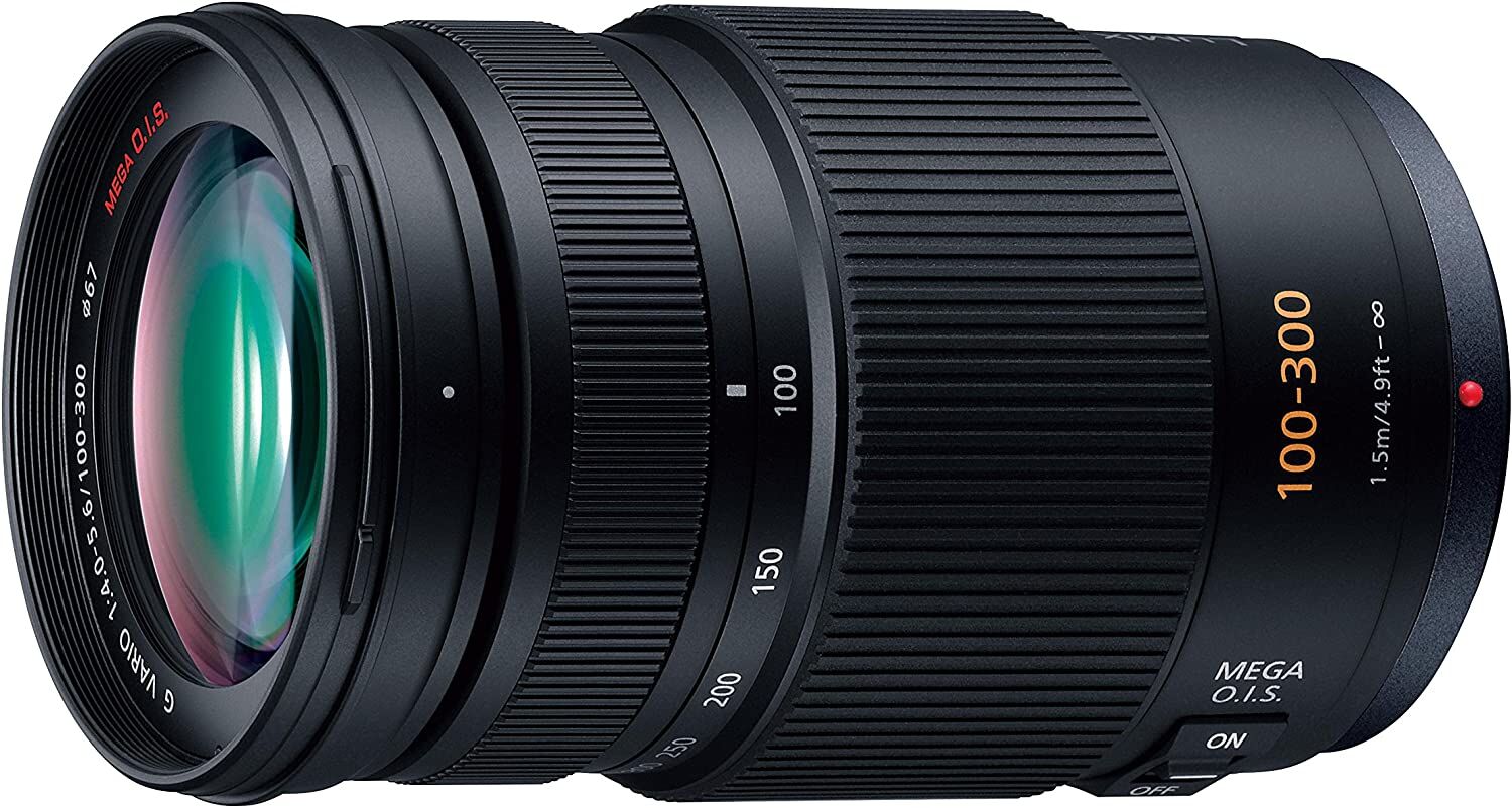 Panasonic パナソニック 望遠ズームレンズ マイクロフォーサーズ用 ルミックス G VARIO 100-300mm/F4.0-5.6 /MEGA O.I.S.