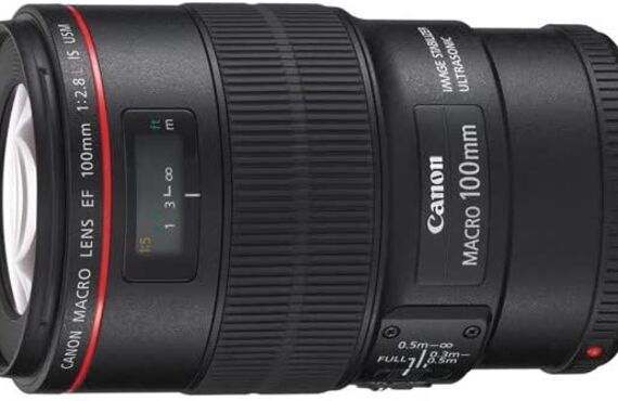 淡路のおすすめ Canon キヤノン EF70-200mm F2.8L IS II USM の高い買取価格 売るなら百獣の買取王が高価買い取り