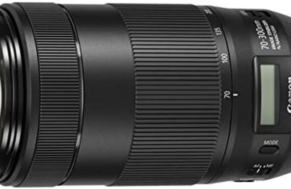 朝来のおすすめ Canon キヤノン EF70-300mm F4-5.6 IS II USM の高い買取価格 売るなら百獣の買取王が高価買い取り