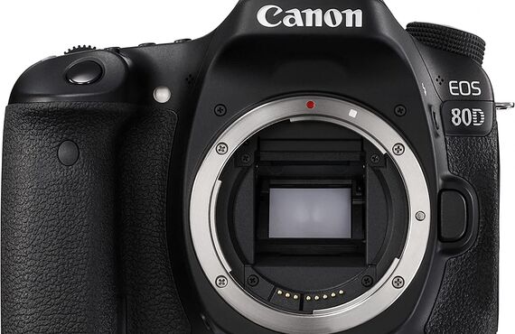 石川のおすすめ Canon キャノン EOS 80D ボディ 高い買取価格 売るなら百獣のカメラ買取王カメライオンが高価買い取り