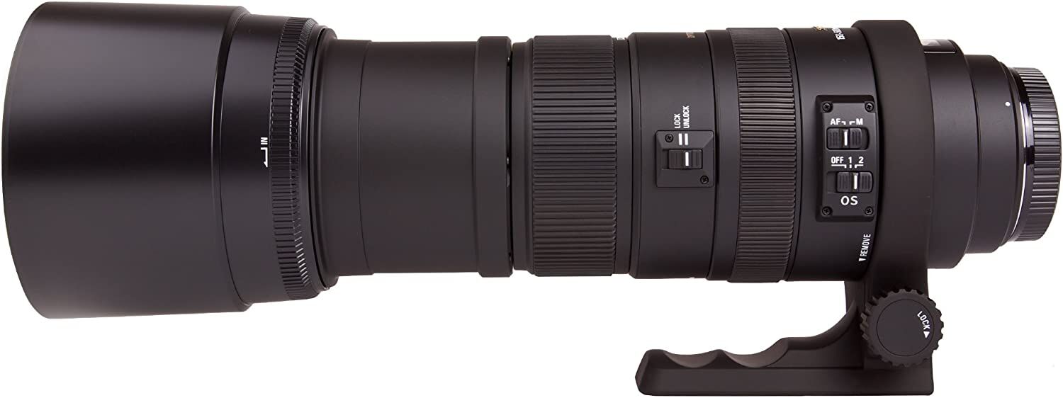 SIGMA シグマ 超望遠ズームレンズ APO 150-500mm F5-6.3 DG OS HSM キヤノン用 フルサイズ対応