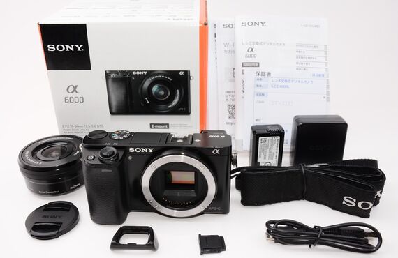 遺品整理もおまかせ SONY ソニー α6000 パワーズームレンズキット の買取価格 売るなら百獣の買取王が高価買い取り