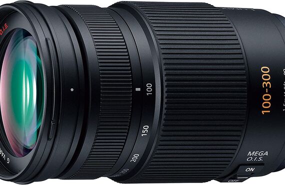 尼崎おすすめ パナソニック Panasonic G VARIO 100-300mm/F4.0-5.6 高い買取価格 百獣のカメラ買取王が高価買い取り