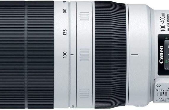 明石のおすすめ Canon キヤノン EF100-400mm F4.5-5.6L IS USM の高い買取価格 売るなら百獣の買取王が高価買い取り