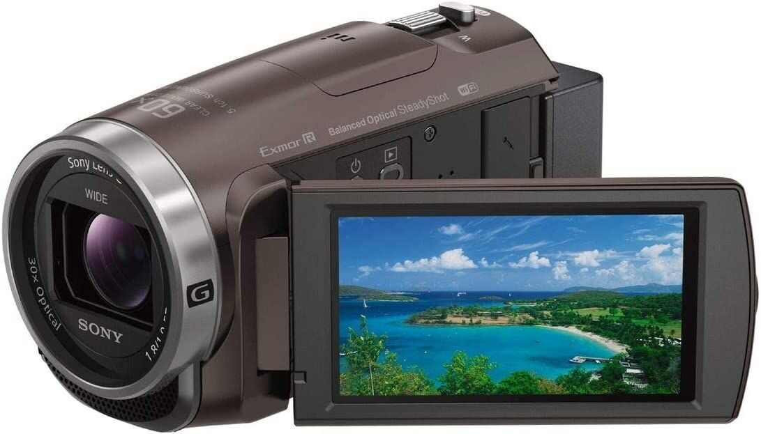 SONY ソニー ビデオカメラ Handycam 光学30倍 内蔵メモリー64GB ブロンズブラウン