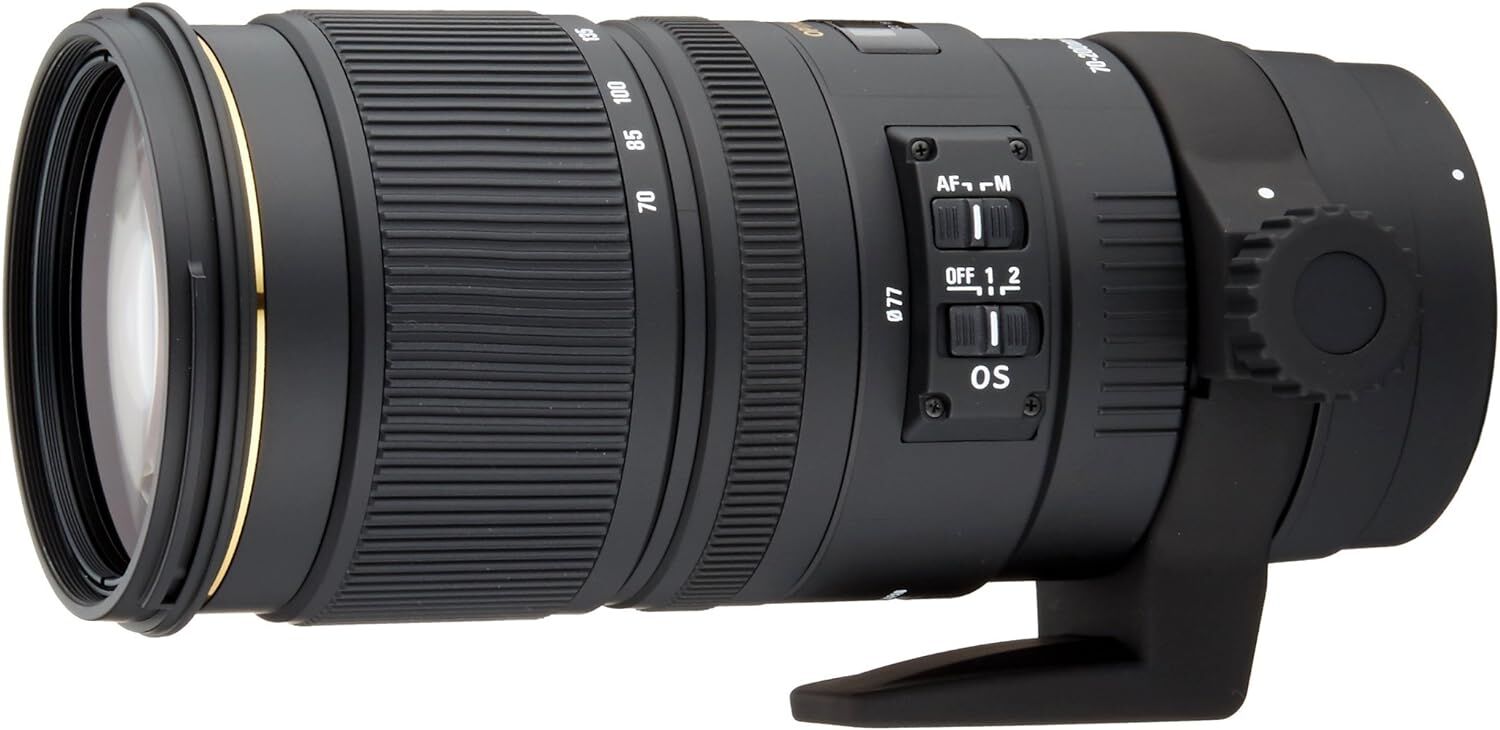 SONY ソニー デジタル一眼カメラα[Eマウント]用レンズ SEL85F18