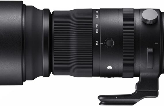 藤沢のおすすめ SIGMA シグマ 150-600mm F5-6.3 DG DN OS Sports の高い買取価格 売るなら百獣の買取王が高価買い取り