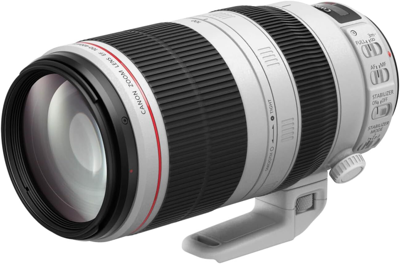 Canon キヤノン 望遠ズームレンズ EF100-400mm F4.5-5.6L IS II USM フルサイズ対応