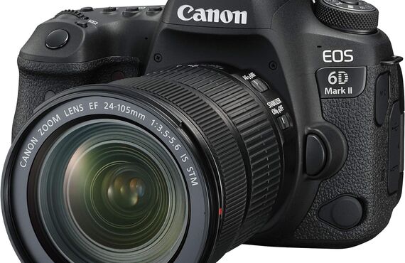 海老名のおすすめ Canon キヤノン EOS 6D Mark II EF24-105 IS STM の買取価格 売るなら百獣の買取王が高価買い取り