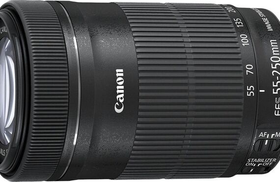 海老名のおすすめ Canon キヤノン EF-S55-250mm F4-5.6 IS STM APS-C対応 の高い買取価格 百獣の買取王が高価買い取り