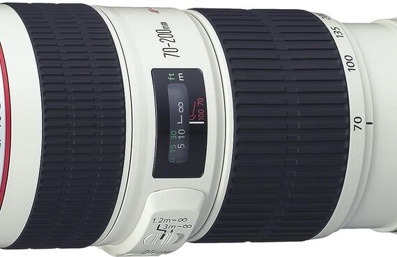 海老名のおすすめ Canon キヤノン EF70-200mm F4L IS USM の高い買取価格 売るなら百獣の買取王が高価買い取り