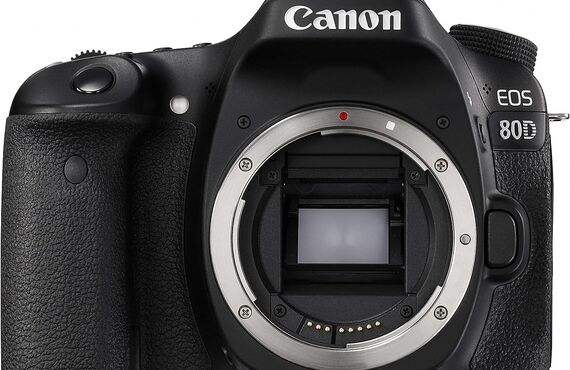 海老名のおすすめ Canon キヤノン EOS 80D ボディ の高い買取価格 売るなら百獣の買取王が高価買い取り