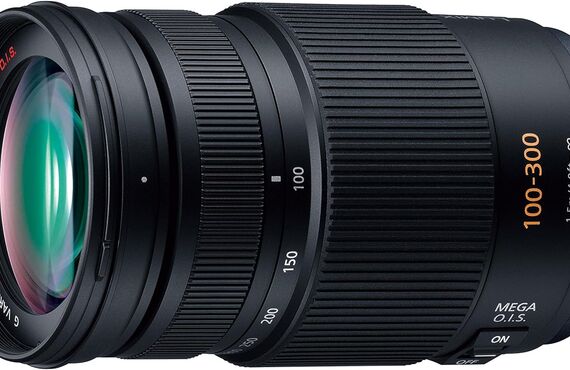 海老名のおすすめ Panasonic G VARIO 100-300mm/F4.0-5.6 /MEGA O.I.S. の高い買取価格 百獣の買取王が高価買い取り