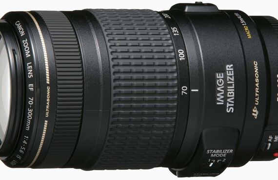 大和のおすすめ Canon キヤノン EF70-300mm F4-5.6L IS USM の高い買取価格 売るなら百獣の買取王が高価買い取り