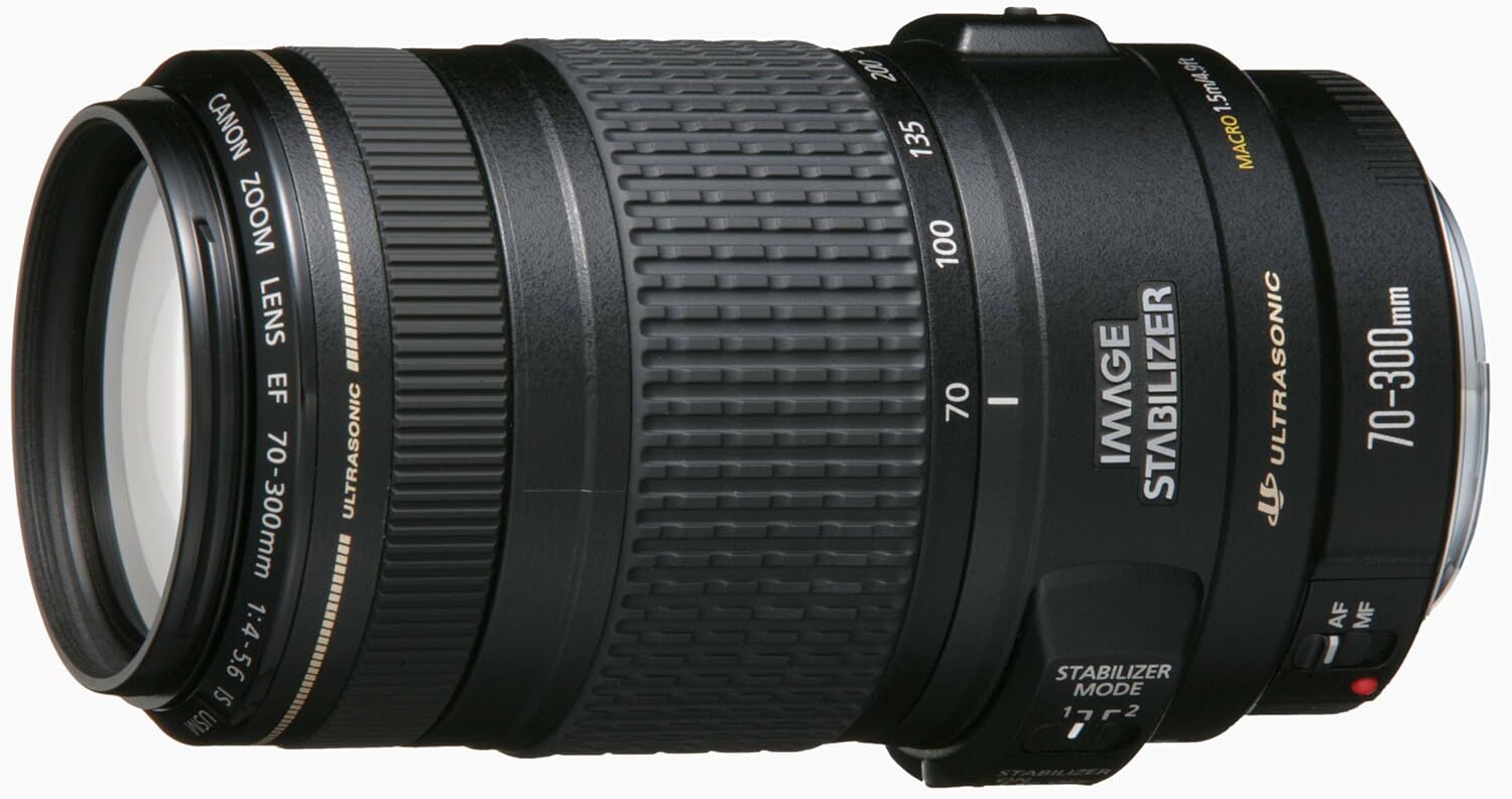 Canon キヤノン 望遠ズームレンズ EF70-300mm F4-5.6L IS USM フルサイズ対応