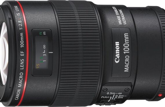 大和のおすすめ Canon キヤノン EF70-300mm F4-5.6L IS USM の高い買取価格 売るなら百獣の買取王が高価買い取り
