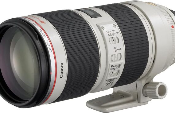大和のおすすめ Canon キヤノン EF70-200mm F2.8L IS II USM の高い買取価格 売るなら百獣の買取王が高価買い取り
