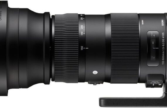 尼崎のおすすめ SIGMA 150-600mm F5-6.3 DG OS HSM テレコンバーターキット の買取価格 百獣の買取王が高価買い取り