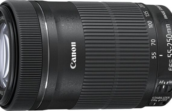 尼崎のおすすめ Canon キヤノン EF-S55-250mm F4-5.6 IS STM APS-C対応 の高い買取価格 百獣の買取王が高価買い取り