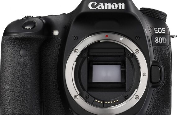 綾瀬のおすすめ Canon キヤノン EOS 80D ボディ の高い買取価格 売るなら百獣の買取王が高価買い取り