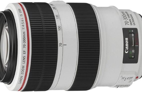 茅ヶ崎のおすすめ Canon キヤノン Canon EF70-300mm F4-5.6L IS USM の買取価格 売るなら百獣の買取王が高価買い取り