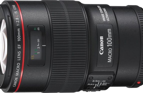 綾瀬のおすすめ Canon キヤノン EF100mm F2.8L マクロ IS USM の高い買取価格 売るなら百獣の買取王が高価買い取り
